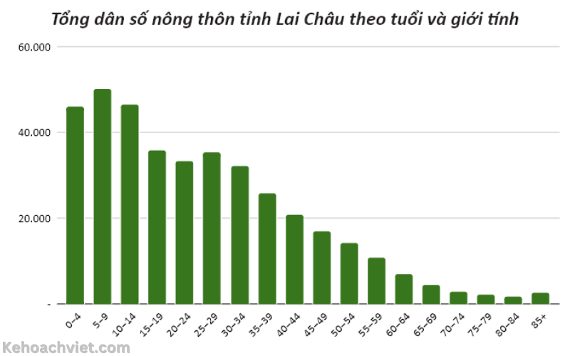 dân số lai châu theo tuổi và giới tính năm 2024